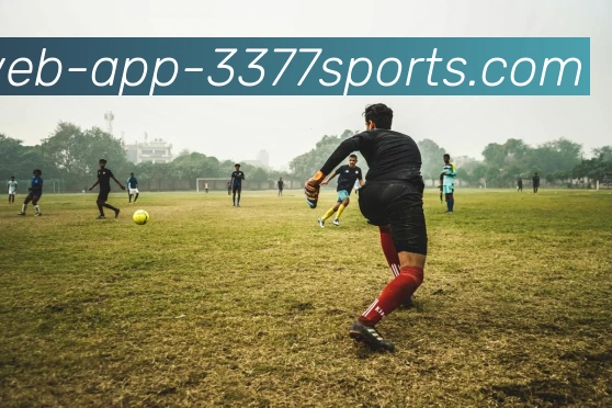 3377体育APP 高清赛事图